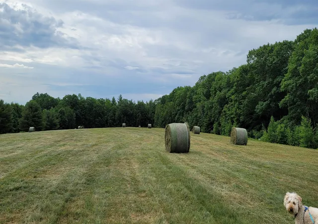 2nd image of 00 Bingham Rd, Gilmanton, NH 03237 | MLS# 5077476