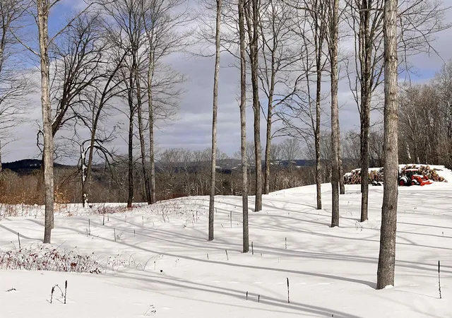 41st image of 119 Advent Hill Rd, Hartland, VT 05048 | MLS# 5077715