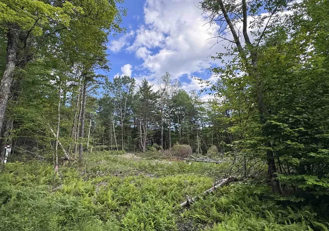 Homes for sale in Wilmington, VT | 169 Sun & Ski Rd, Wilmington, VT 05363 | MLS# 5077813