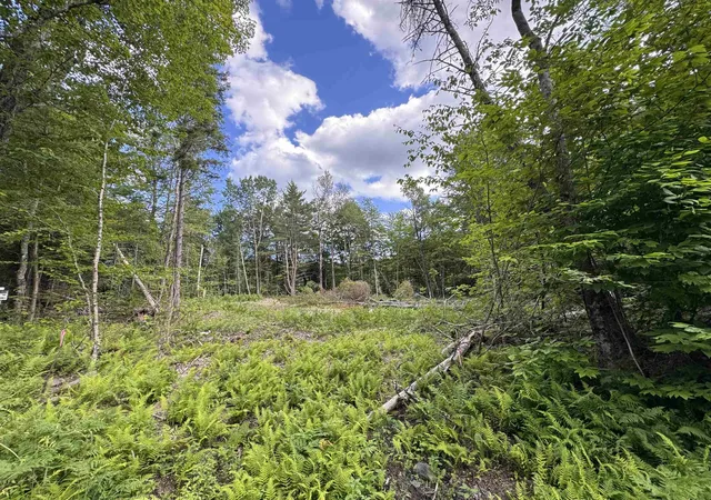 Homes for sale in Wilmington, VT | 169 Sun & Ski Rd, Wilmington, VT 05363 | MLS# 5077813