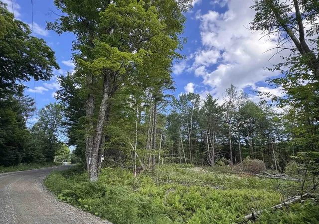 Homes for sale in Wilmington, VT | 169 Sun & Ski Rd, Wilmington, VT 05363 | MLS# 5077813