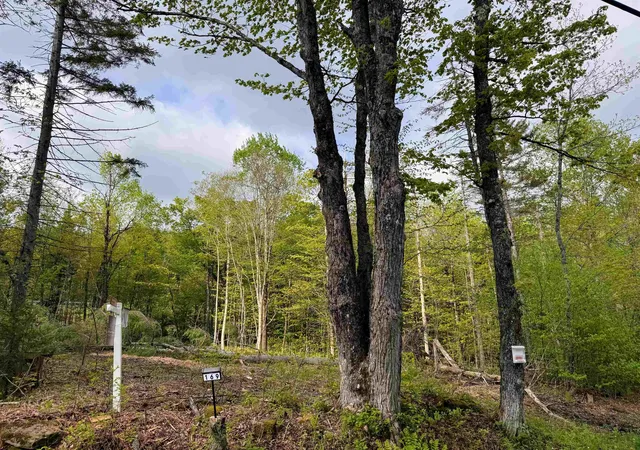 Homes for sale in Wilmington, VT | 169 Sun & Ski Rd, Wilmington, VT 05363 | MLS# 5077813