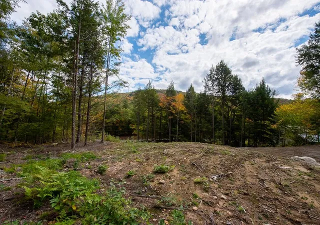 Photo 3 of Land for sale at 15 12 10 04 Jacob Hall Farm Rd, Rumney, NH 03266 | MLS# 5078032 | Listing updated on 2026-09-04
