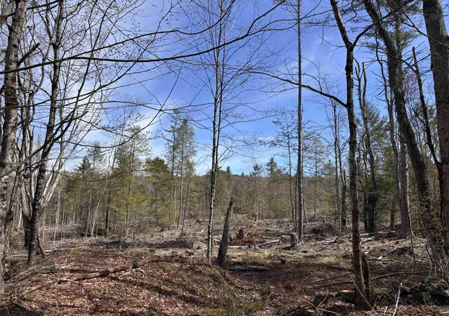 Homes for sale in Richmond, NH | M409 L66 Old Turnpike Rd, Richmond, NH 03470 | MLS# 5078082