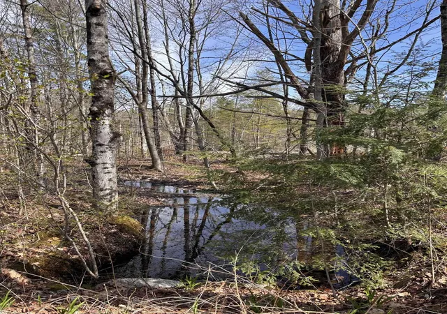 Homes for sale in Richmond, NH | M409 L66 Old Turnpike Rd, Richmond, NH 03470 | MLS# 5078082