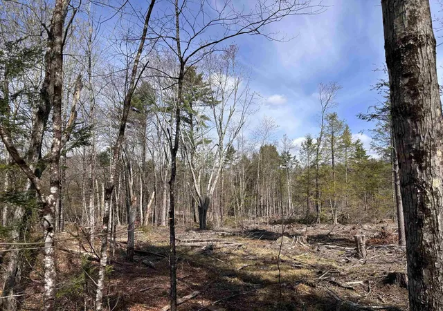 3rd image of M409 L66 Old Turnpike Rd, Richmond, NH 03470 | MLS# 5078082