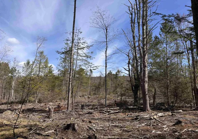 4th image of M409 L66 Old Turnpike Rd, Richmond, NH 03470 | MLS# 5078082
