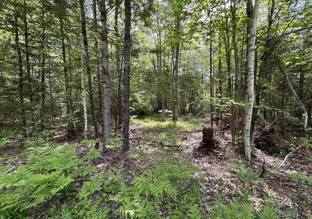 Homes for sale in Barnstead, NH | 37446 Shore North Dr, Barnstead, NH 03225 | MLS# 5078103