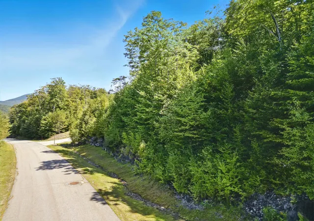 3rd image of 15 Hay Hill Rd, Lincoln, NH 03251 | MLS# 5078386