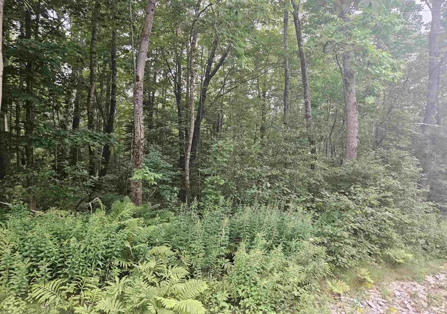 2nd image of Lot 31 Off Parker Rd, Lyman, NH 03585 | MLS# 5078578