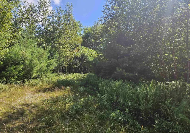 2nd image of Lot 33 Off Parker Rd, Lyman, NH 03585 | MLS# 5078581