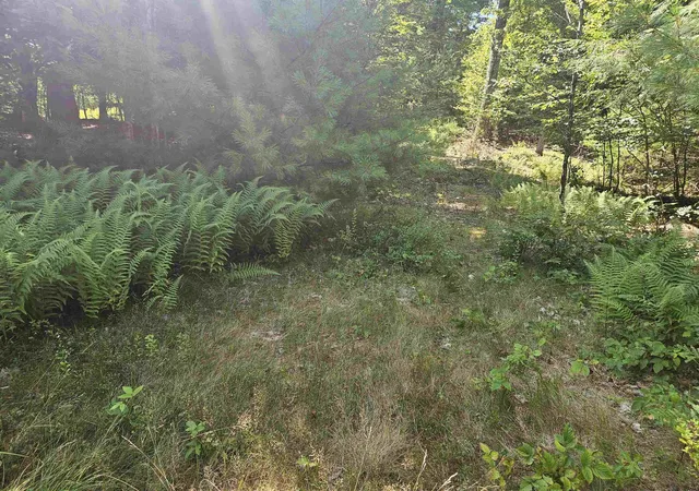 3rd image of Lot 33 Off Parker Rd, Lyman, NH 03585 | MLS# 5078581