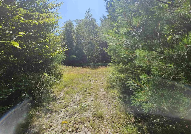 4th image of Lot 33 Off Parker Rd, Lyman, NH 03585 | MLS# 5078581