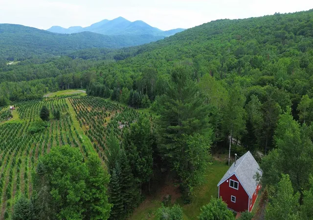 Single family home for sale at 374 Crank Rd, Guildhall, VT 05905 | MLS# 5078664