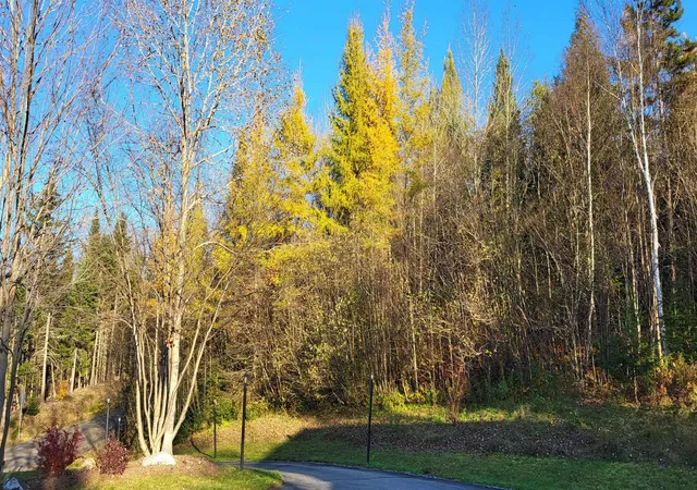 Photo 3 of Single family home for sale at 4 Pierre Rd, West Stewartstown, NH 03597 | MLS# 5078869 | Listing updated on 2026-07-19