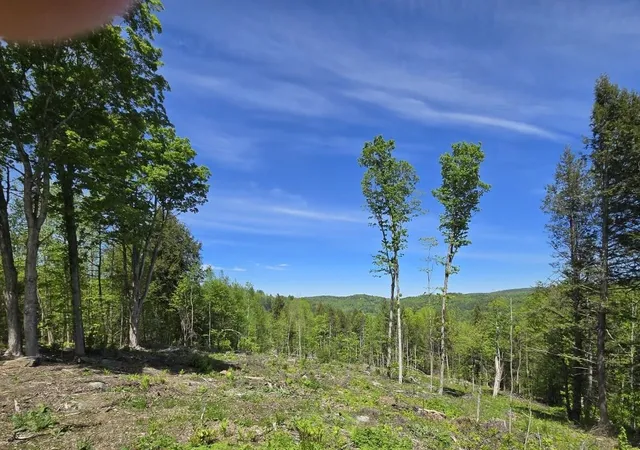 Homes for sale in Barnard, VT | 00 Vt Rte 12 Hwy, Barnard, VT 05031 | MLS# 5079007