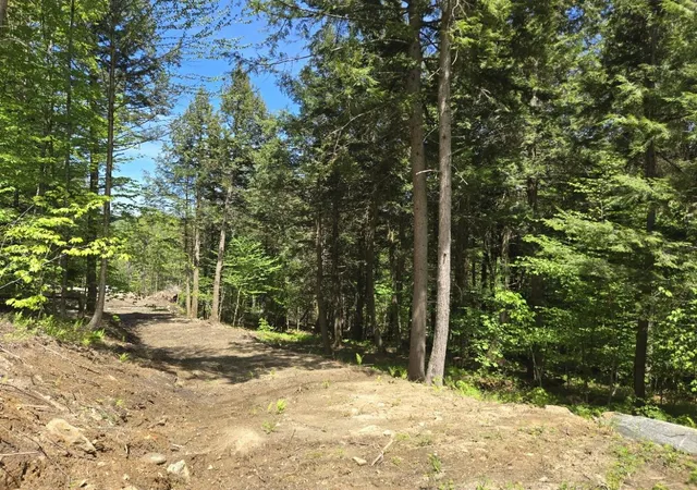 Homes for sale in Barnard, VT | 00 Vt Rte 12 Hwy, Barnard, VT 05031 | MLS# 5079007