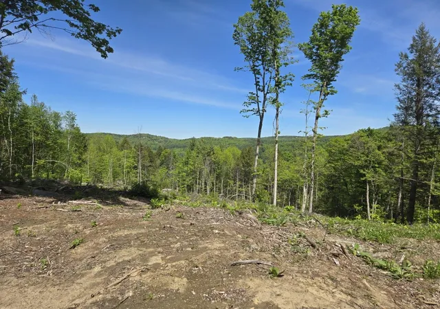 Homes for sale in Barnard, VT | 00 Vt Rte 12 Hwy, Barnard, VT 05031 | MLS# 5079007