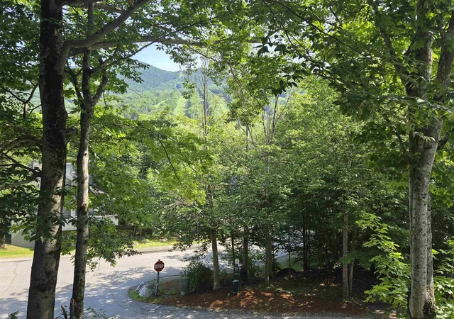 Homes for sale in Lincoln, NH | 10 Potash Rd #3, Lincoln, NH 03251 | MLS# 5079109
