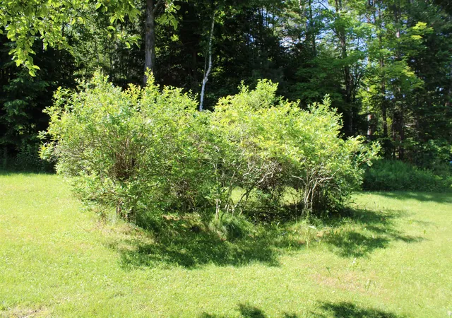 Homes for sale in Littleton, NH | 1579 Monroe Rd, Littleton, NH 03561 | MLS# 5079263