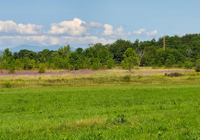 5th image of Tbd Park Ln Ln, Ferrisburgh, VT 05456 | MLS# 5079315