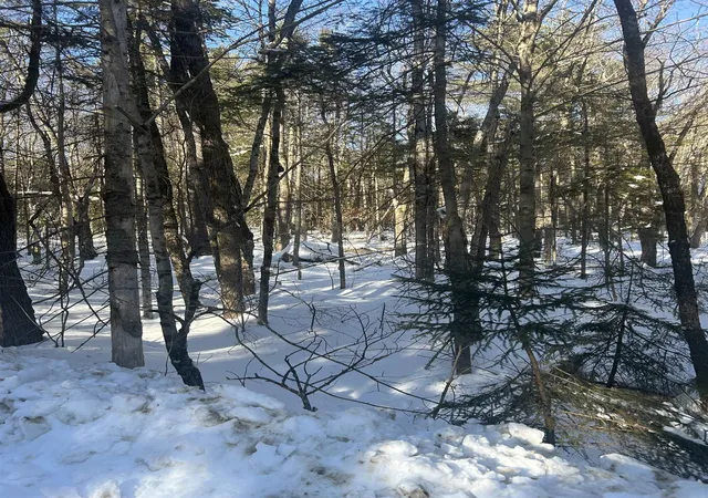 2nd image of Presidential Dr, Washington, NH 03280 | MLS# 5079376