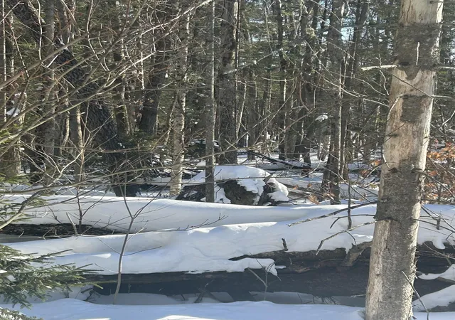 4th image of Presidential Dr, Washington, NH 03280 | MLS# 5079376