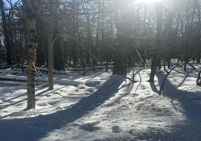 5th image of Presidential Dr, Washington, NH 03280 | MLS# 5079376