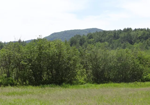 Photo 2 of Land for sale at 0 Vt Rt 131, Ascutney, VT 05030 | MLS# 5079419 | Listing updated on 2026-07-15