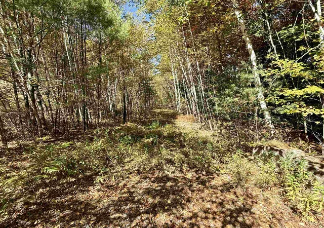Homes for sale in Newport, NH | 85 Pike Hill Rd, Newport, NH 03773 | MLS# 5079764