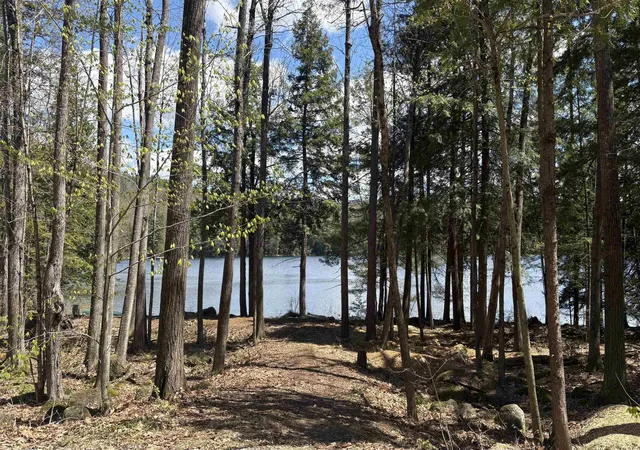 Homes for sale in Washington, NH | 77 Wild Acre Dr, Washington, NH 03280 | MLS# 5079873