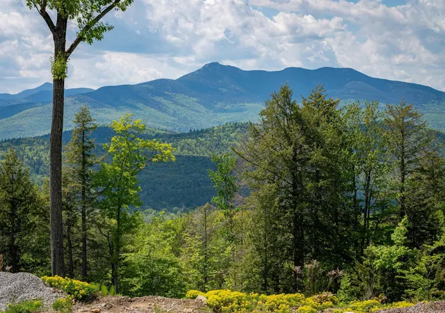 3rd image of 84 Cormack Dr, Madison, NH 03849 | MLS# 5080133