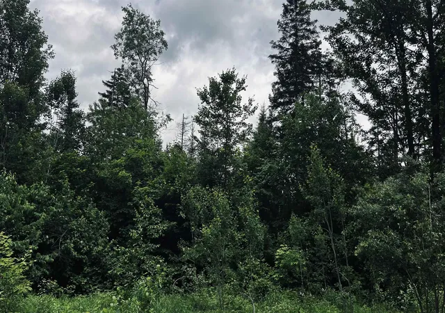 60th image of 1606 Town Farm Rd, Sheffield, VT 05866 | MLS# 5080177