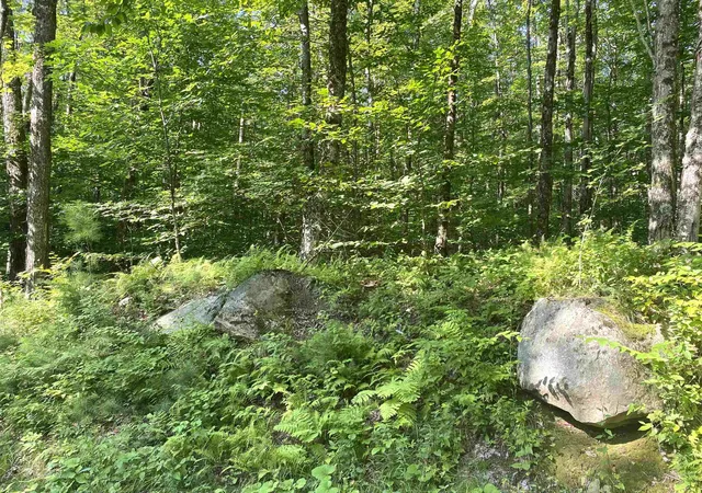 2nd image of 00 North Branch Rd, Ripton, VT 05766 | MLS# 5080246