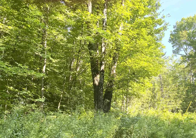 3rd image of 00 North Branch Rd, Ripton, VT 05766 | MLS# 5080246