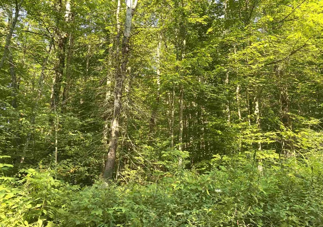 5th image of 00 North Branch Rd, Ripton, VT 05766 | MLS# 5080246