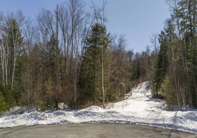 Homes for sale in Grantham, NH | 17 Hummock Ln, Grantham, NH 03753 | MLS# 5080542