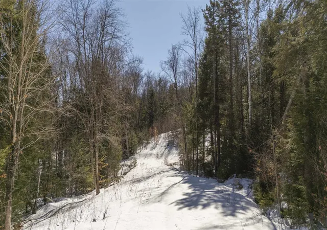 Homes for sale in Grantham, NH | 17 Hummock Ln, Grantham, NH 03753 | MLS# 5080542