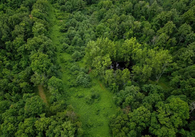 Homes for sale in Bennington, VT | 399 Bard Rd, Bennington, VT 05201 | MLS# 5081020
