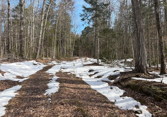 Photo 3 of Land for sale at 360 Dorman Rd, Chester, VT 05143 | MLS# 5081089 | Listing updated on 2026-06-15