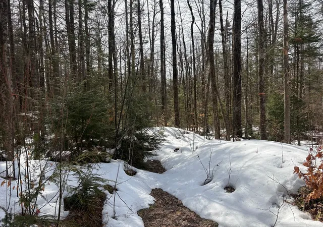 Photo 3 of Land for sale at 360 Dorman Rd, Chester, VT 05143 | MLS# 5081089 | Listing updated on 2026-06-15