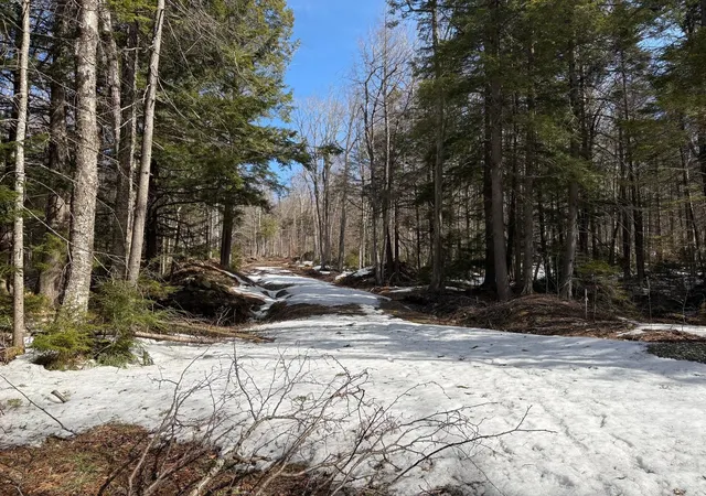Photo 4 of Land for sale at 360 Dorman Rd, Chester, VT 05143 | MLS# 5081089 | Listing updated on 2026-06-15