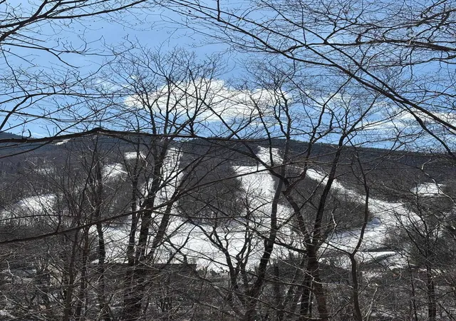3rd image of 3 Blueberry Rd, Lincoln, NH 03251 | MLS# 5081154