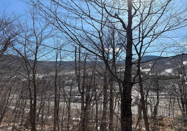 4th image of 3 Blueberry Rd, Lincoln, NH 03251 | MLS# 5081154