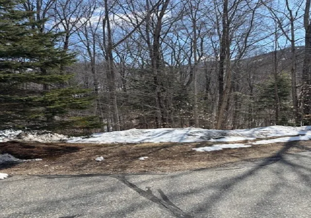 5th image of 3 Blueberry Rd, Lincoln, NH 03251 | MLS# 5081154