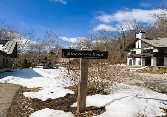 9th image of 3 Blueberry Rd, Lincoln, NH 03251 | MLS# 5081154