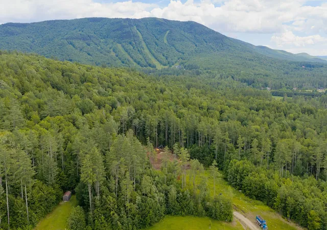 Homes for sale in Londonderry, VT | 0 Stoney Brook Rd, Londonderry, VT 05148 | MLS# 5081155