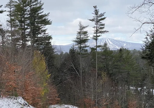 Homes for sale in Londonderry, VT | 0 Stoney Brook Rd, Londonderry, VT 05148 | MLS# 5081155