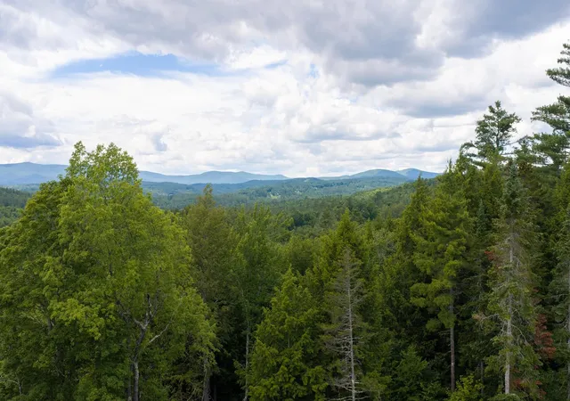 Homes for sale in Londonderry, VT | 0 Stoney Brook Rd, Londonderry, VT 05148 | MLS# 5081155
