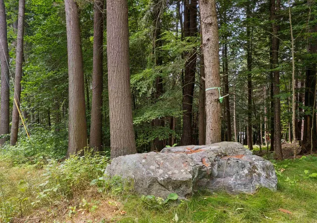 Photo 3 of Land for sale at 0 And 25 Balch Hill Ln, Hanover, NH 03755 | MLS# 5081231 | Listing updated on 2026-08-31